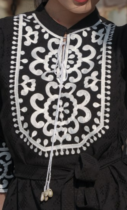 Black Swan Fusion Dress Frock