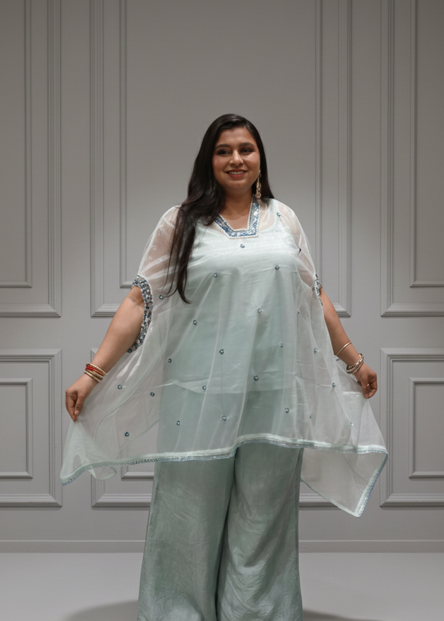 Tissue & Twill Net Indo-Western Co-Ord Set