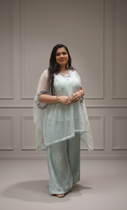 Tissue & Twill Net Indo-Western Co-Ord Set